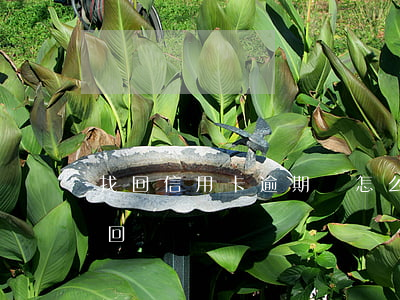 找回信用卡逾期會怎么樣(信用卡逾期費用追回)