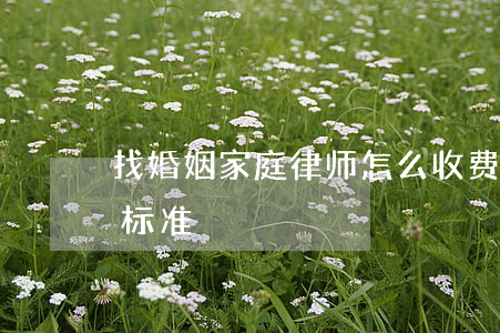 找婚姻家庭律师怎么收费(婚姻律师费用收取标准)