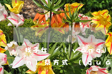 找子女撫養(yǎng)案律師聯(lián)系方式(關(guān)于收養(yǎng)孩子的律師)