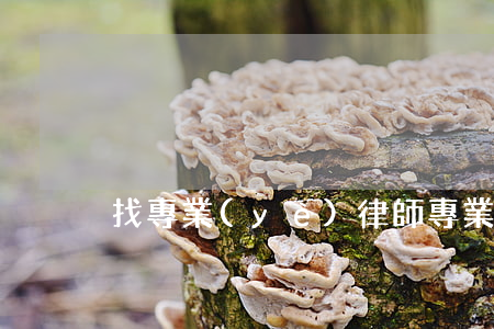 找專業(yè)律師(專業(yè)律師咨詢)