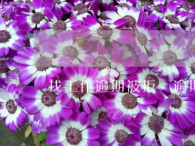 找工作逾期被拒絕(逾期能找到工作嗎)