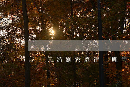 找廣元婚姻家庭律師哪里找