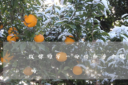 找律师写一份借条多少钱(有借条需要请律师吗)