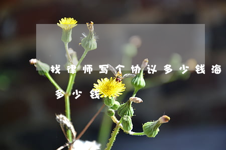 找律师写个协议多少钱海南(律师起草个协议多少钱)