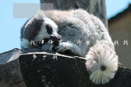 找律师写起诉要多少钱(找律师写民事诉讼状多少钱)