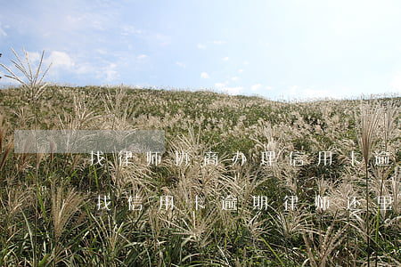 找律师协商办理信用卡逾期分期有用吗（慈溪找信用卡逾期律师还里好）