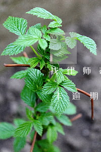找律师帮忙处理信用卡逾期(有没有处理信用卡逾期的律师)