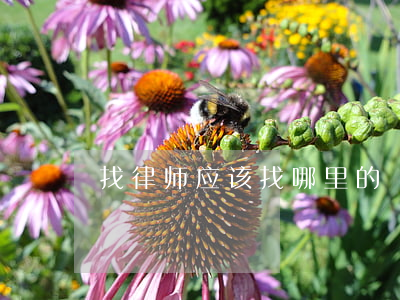 找律师应该找哪里的
