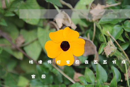 找律师打官司会五五分成吗(我想找个律师打官司)