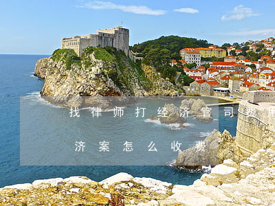 找律师打经济官司费用是怎么收的(律师打经济案怎么收费)