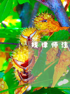 找律师注意什么(请律师要注意哪些事项)