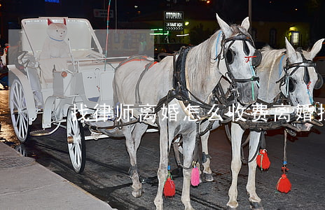 找律师离婚怎么收费(离婚找律师多少钱?)