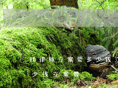 找律师立案要多少钱立案费(找律师立案要多少钱立案费)