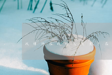 找律师花钱吗(有没有不花钱的律师咨询)