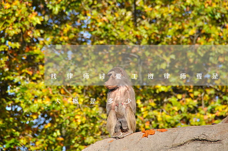 找律师讨要工资律师费是多少(找律师的费用大概是多少)