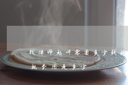 找律师起诉需要多少钱(现在请律师打官司大概费用是多少)