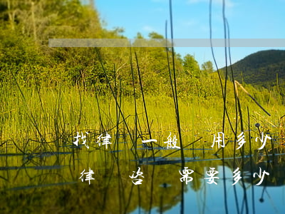 找律師一般費用多少錢(現(xiàn)在找律師咨詢需要多少錢)