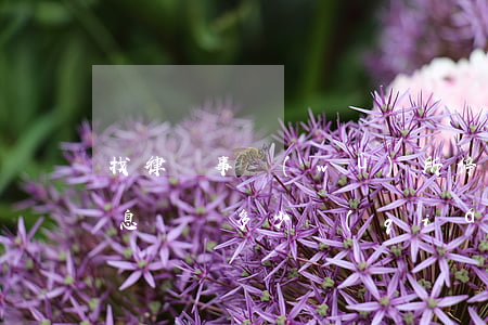 找律師事務(wù)所停息掛賬(委托律師停息掛賬多少錢(qián))