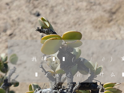 找律師協(xié)商解決債務(wù)都問(wèn)什么問(wèn)題-找律師協(xié)商解決債務(wù)都問(wèn)什么問(wèn)題呢