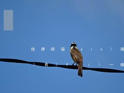 找律師協(xié)商還款延期服務(wù)費(fèi)一般是多少-找律師協(xié)商還款延期服務(wù)費(fèi)一般是多少錢(qián)