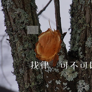 找律師可不可以官司結(jié)束在給錢