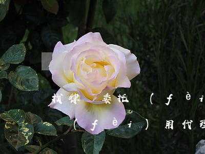 找律師委托費(fèi)用多少(委托律師的費(fèi)用代理費(fèi)一般多少)