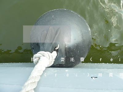 找律師委托費(fèi)用多少(委托律師的費(fèi)用貴嗎)