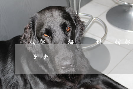 找律師寫起訴離婚書(找律師寫離婚起訴書要多少錢)