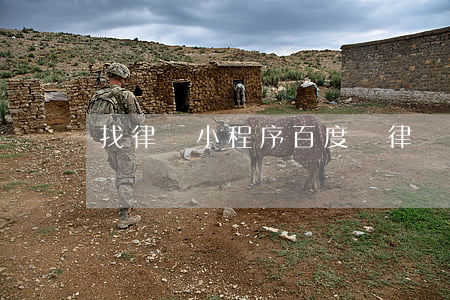 找律師小程序(百度問律師小程序)