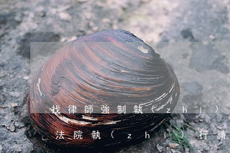 找律師強制執(zhí)行需要多少錢(申請法院執(zhí)行請律師需要多少錢)
