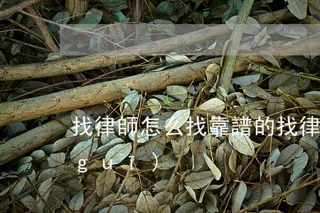 找律師怎么找靠譜的(找律師哪里比較正規(guī))