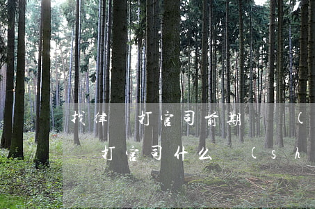找律師打官司前期給費(fèi)用嗎(找律師打官司什么時(shí)候支付其費(fèi)用)