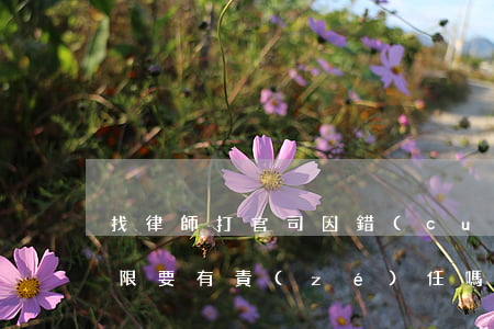 找律師打官司因錯(cuò)過最后起訴期限要有責(zé)任嗎(找律師打官司因錯(cuò)過最后起訴期限要有責(zé)任嗎)