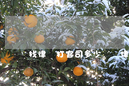 找律師打官司多少錢(請律師起訴要多少錢)