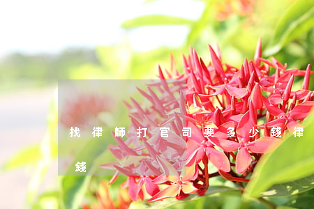找律師打官司要多少錢(律師一般打官司多少錢)