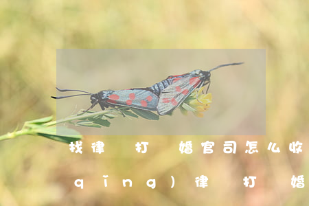 找律師打離婚官司怎么收費(fèi)(請(qǐng)律師打離婚官司如何收費(fèi))