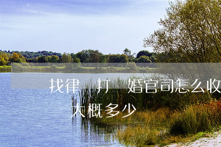 找律師打離婚官司怎么收費(離婚打官司律師費大概多少錢)