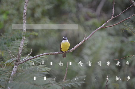找律師打離婚官司需要多少錢(離婚打官司律師費(fèi)大概多少錢)