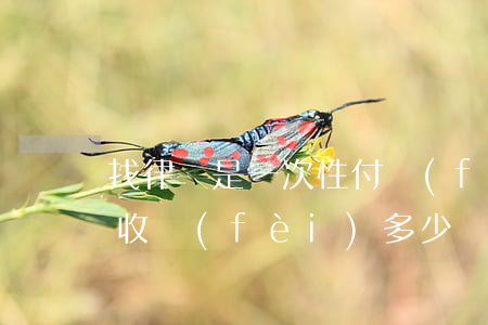 找律師是一次性付費(fèi)嗎(律師一次收費(fèi)多少)