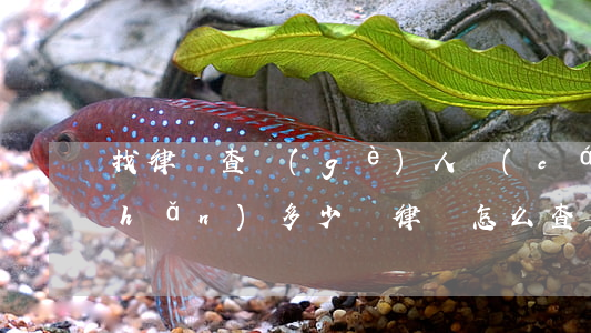 找律師查個(gè)人財(cái)產(chǎn)多少錢?(律師怎么查對(duì)方財(cái)產(chǎn))