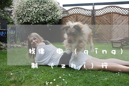 找律師申請(qǐng)強(qiáng)制執(zhí)行撫養(yǎng)費(fèi)(找律師申請(qǐng)強(qiáng)制執(zhí)行撫養(yǎng)費(fèi)要多少錢)