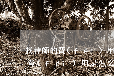 找律師的費(fèi)用是怎樣算的(找律師費(fèi)用是怎么收的)