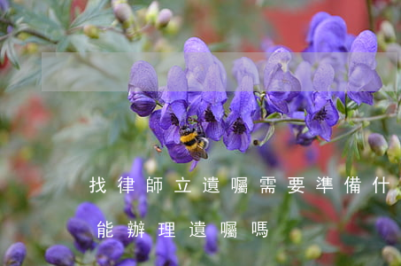 找律師立遺囑需要準備什么材料(律師事務所能辦理遺囑嗎)