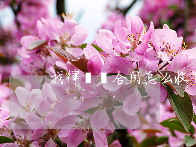 找律師簽合同怎么收費(fèi)