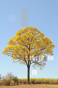 找律師簽合同怎么收費(找律師簽合同怎么收費)