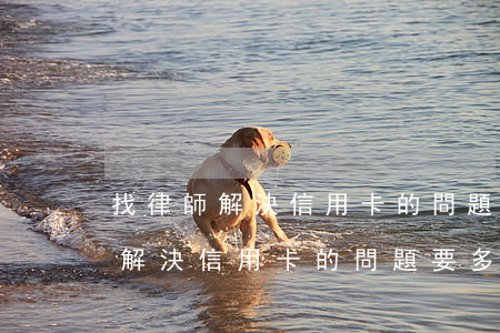找律師解決信用卡的問題要多少錢-找律師解決信用卡的問題要多少錢費(fèi)用