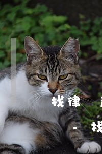 找律師起訴借錢的人錢能要回來(lái)嗎-找律師起訴借錢的人錢能要回來(lái)嗎知乎