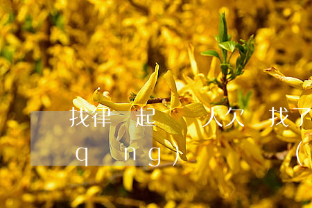 找律師起訴別人欠錢(找了律師起訴別人,請(qǐng)問訴訟費(fèi)誰出)