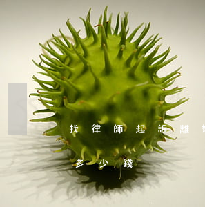 找律師起訴離婚一般要多少錢(離婚找律師要多少錢)