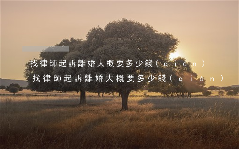 找律師起訴離婚大概要多少錢(qián)(找律師起訴離婚大概要多少錢(qián))